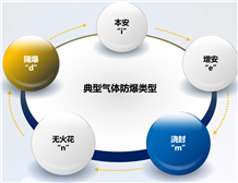 爆炸性气体场所使用麻豆AV一区二区天美传媒设备的IP防护等级要求