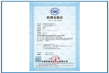 旋转阀非电麻豆AV一区二区天美传媒认证案例|机械麻豆AV一区二区天美传媒认证|深圳麻豆免费电影检测